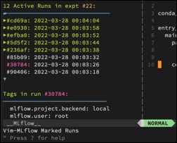 vim-mlflow-zoom-screenshot