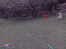 NIRrabbit2
